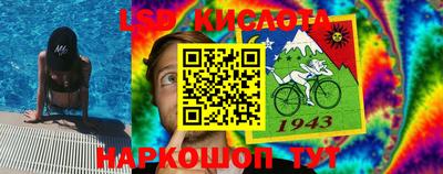 гашик Новодвинск