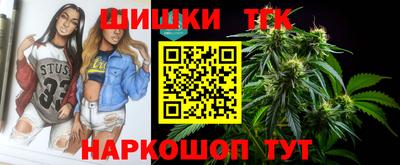 гашик Новодвинск