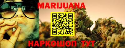 гашик Новодвинск