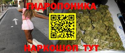 гашик Новодвинск