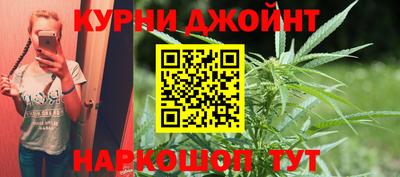 гашик Новодвинск