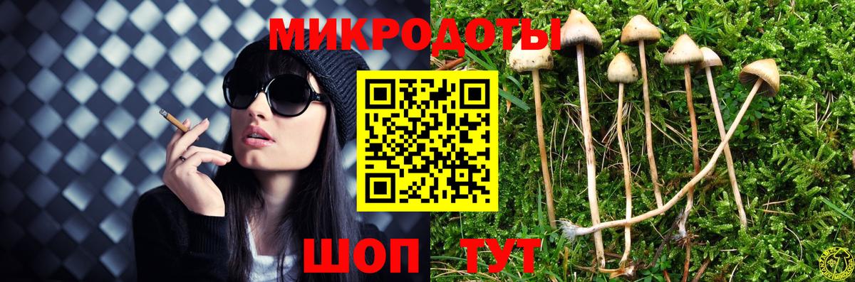 Псилоцибиновые грибы Cubensis  Вход с VPN  Севастополь 