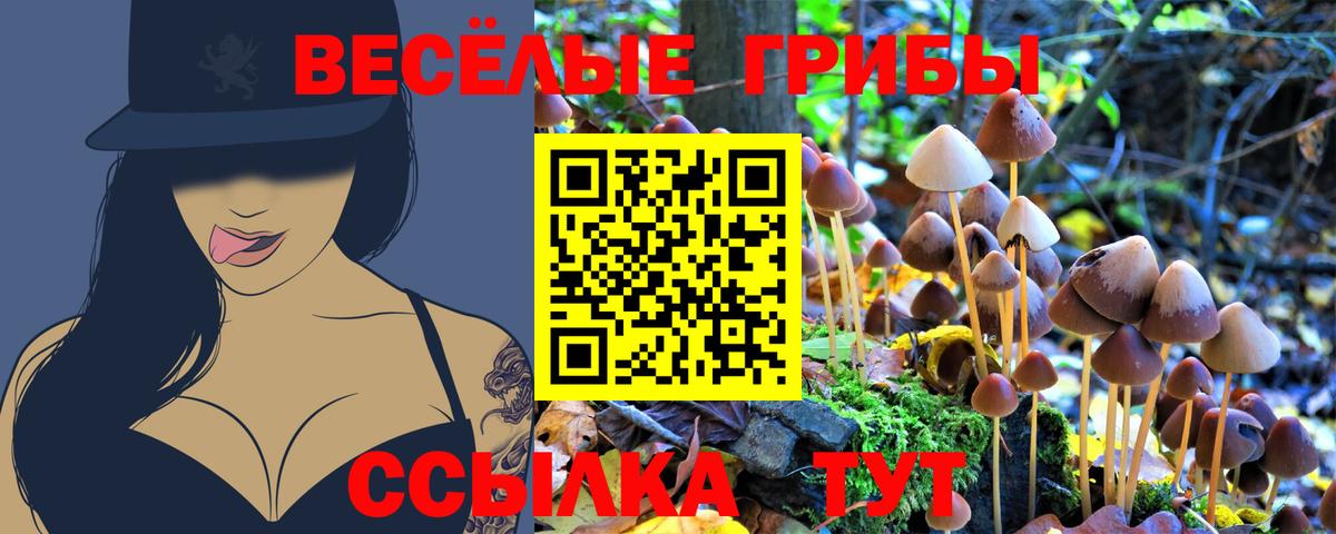 Псилоцибиновые грибы мухоморы Севастополь
